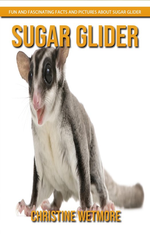 Sugar Glider - Fun and Fascinating Facts and Pictures About  ... - cover