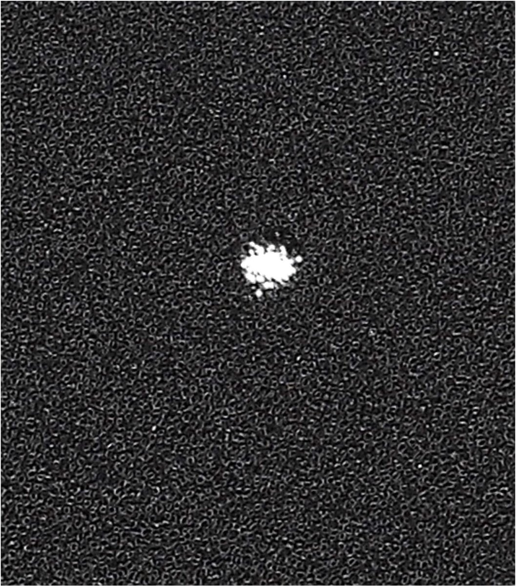 celindakerr 3 x schuimfilter, filterspons, 27 x 12,2 cm, voor Candy Hoover Otsein 40006731, voor droger, wasdroger, warmtepompdroger, condensdroger, warmtewisselaar thumbnail 2