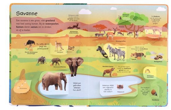 Mijn grote flapjesboek van alle dieren
