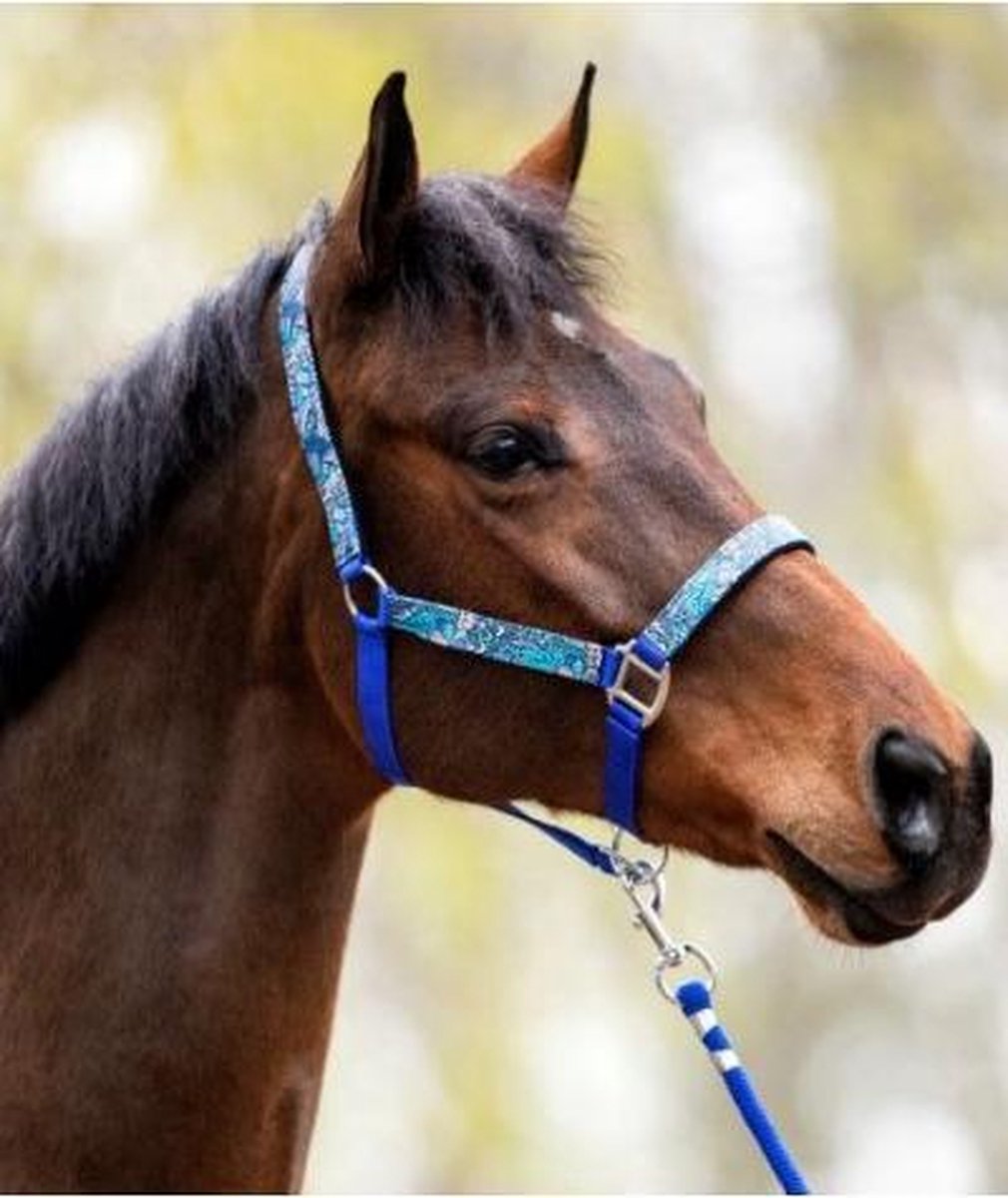 HB Halster Fantasie blauw