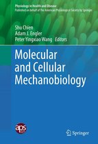 Physiology in Health and Disease - Molecular and Cellular Mechanobiology