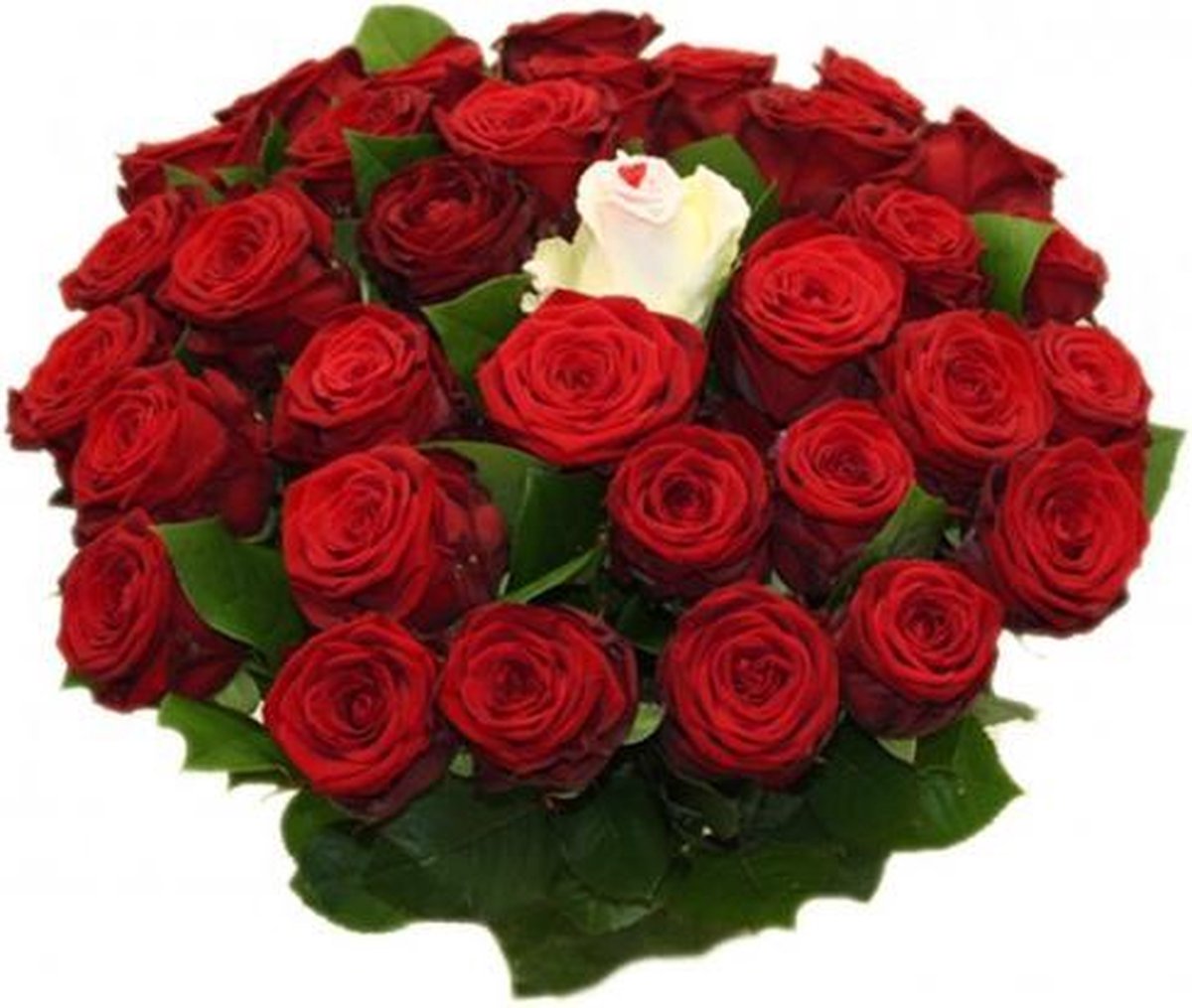 Baron Tomaat middelen Boeket met 25 rode rozen boeket + 1 witte sugar roos in midden | bol.com