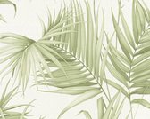 Papier peint Feuille de palmier - AS Creation Michalsky 3   | Crème Vert Blanc