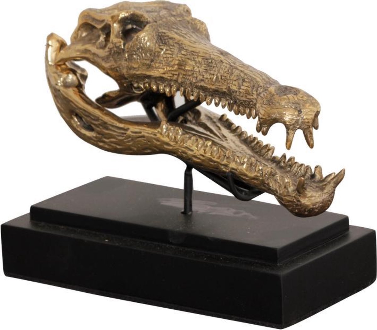Pole to Pole - Crocodile S
