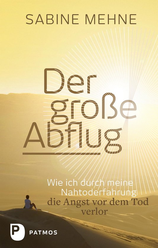 Der große Abflug - cover