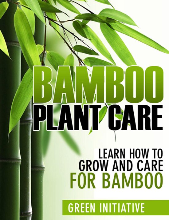 Bamboo Plant Care - How to Grow and Care for Bamboo - cover