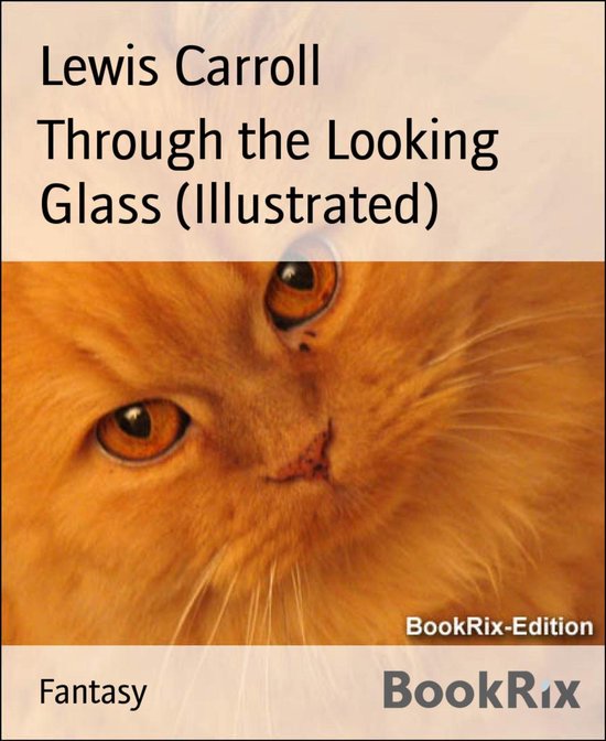 Through the Looking Glass (Illustrated) - cover