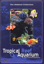 Tropical Reef Aquarium