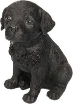 Dierenbeelden Labrador hond/puppy - Decoratie beeldje puppy zwart 15 cm