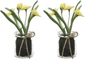 2x Gele Narcissus/narcissen kunstplanten 15 cm in glazen pot - Kunstplanten/nepplanten -  Pasen/voorjaar versiering/decoratie