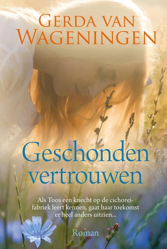 Geschonden vertrouwen - Gerda van Wageningen