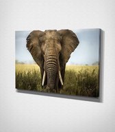 Elephant On Grass Canvas | 80x120 cm