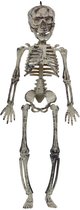 Halloween/horror thema hang decoraties - 1x stuks - skeletten - in vergane staat - 30 cm