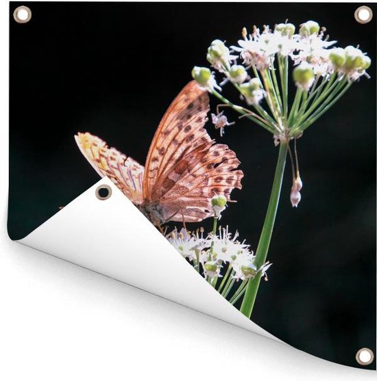 GreatGardenPosters Tuinposter – 50x50 Cm, Rozen En Vlinders, UV-bestendig, Met Ringen Voor Ophanging, Geschikt Voor Buiten, Minstens 3 Jaar Kleurvast