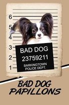 Bad Dog Papillons