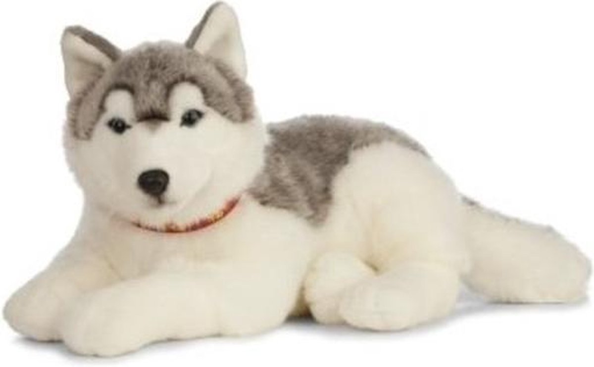 Grote pluche grijs/witte Husky hond knuffel 60 cm - Honden huisdieren  knuffels -... | bol.com