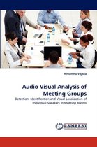 Audio Visual Analysis of Meeting Groups
