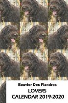 Bouvier Des Flandres Lovers Calendar 2019-2020