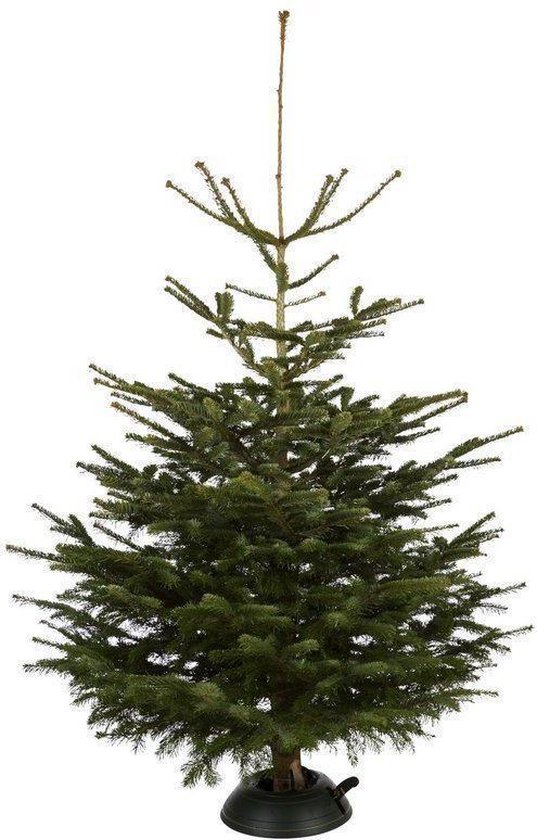 Nordmann echte Kerstboom ca. 175 cm