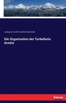 Die Organisation der Turbellaria Acoela