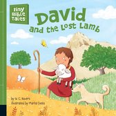 Tiny Bible Tales - David and the Lost Lamb