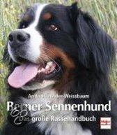 Berner Sennenhund