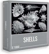 Cloudberries Shells (1000)