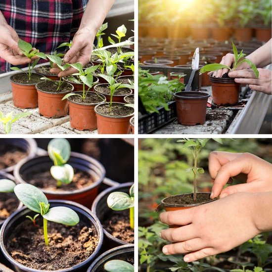 50 stuks plantenpotten, mini-kweekpotten, 10 cm plastic plantenpot