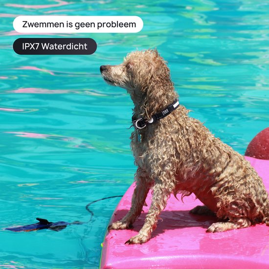 K&G LED Halsband Hond - AirTag Houder - IPX7 Waterproof - Oplaadbaar incl. Kabel - Maat L - Zwart - K&G Goods