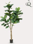 Plante artificielle ficus lyrata complète avec plusieurs troncs et de nombreuses feuilles vertes, dans un pot noir. Logo Green Boutiq.