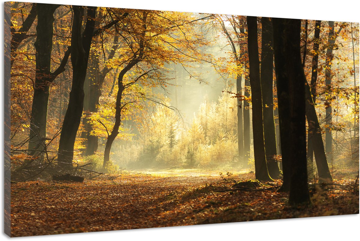 karo-art Schilderij - Pad door een mistige bos tijdens een prachtige mistige herfst dag, 120x80cm Premium print Multikleur