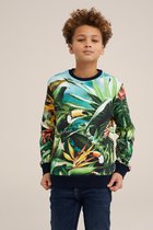 WE Fashion Jongens sweater met dessin