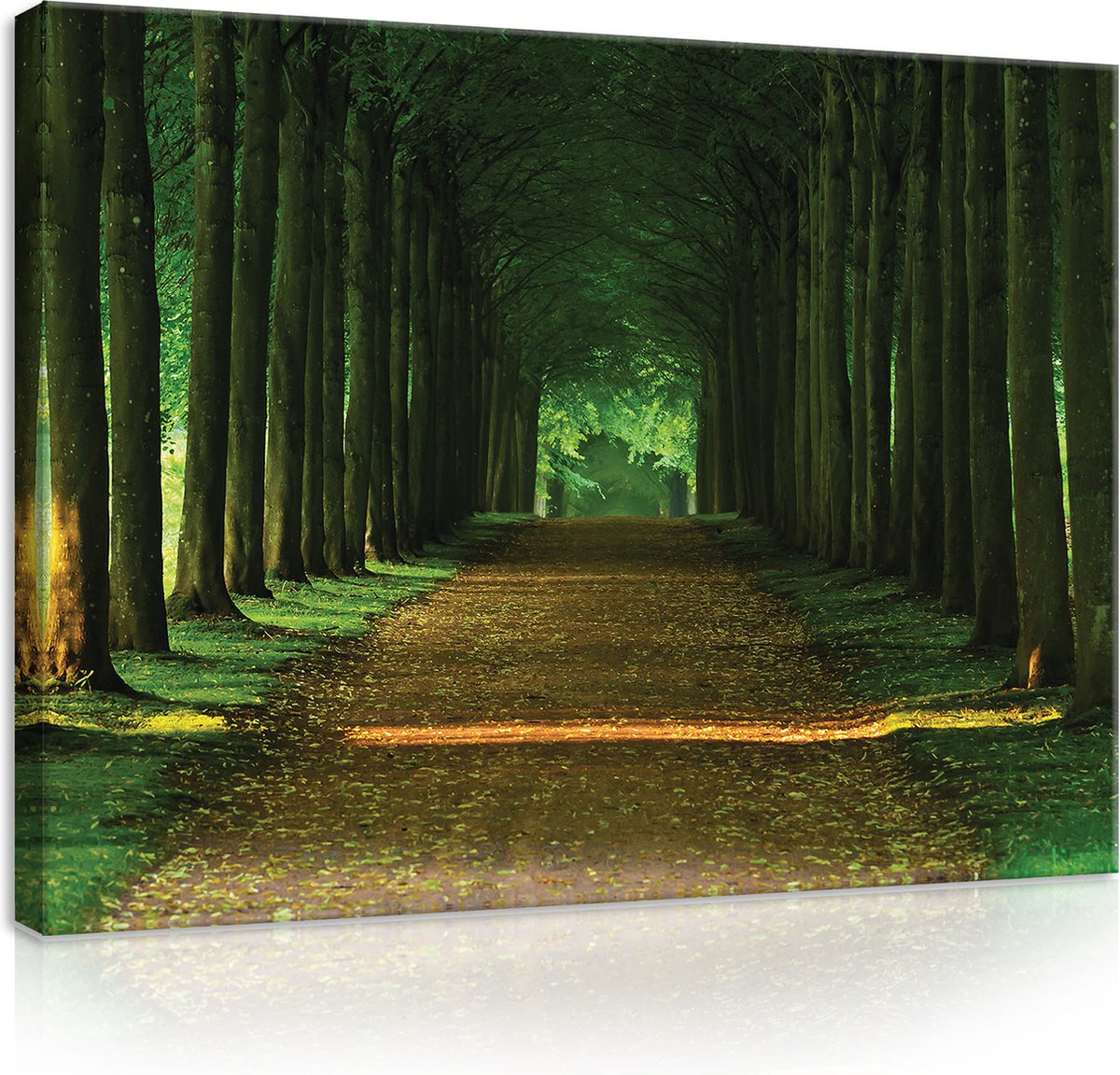 Canvas Schilderij - Donker bos - Natuur - Bos - Woud - Planten - Dieren - Donker - Schilderij Woonkamer - Schilderijen op canvas - Inclusief Frame - 100x75cm (LxB)
