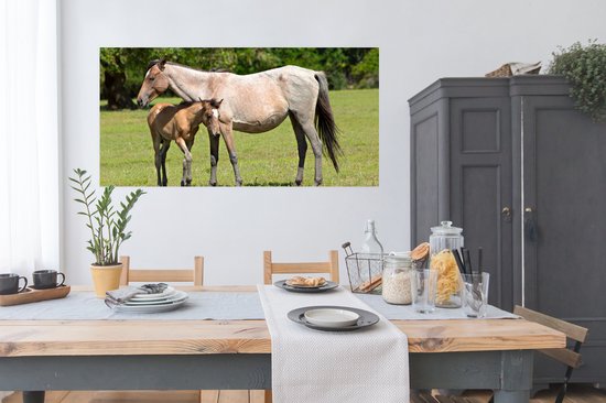 Affiche Paarden - Herbe - Ombre - 150x75 cm