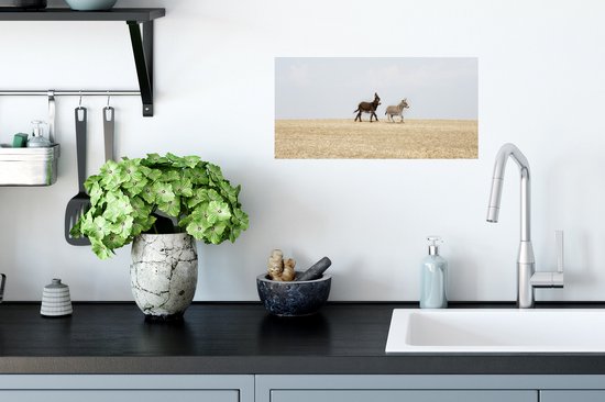 Affiche Les ânes qui courent - 40x20 cm