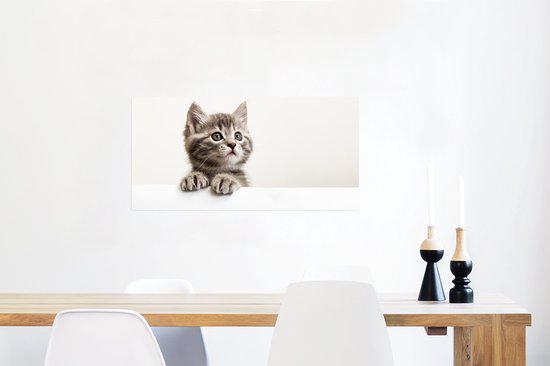 Poster Poes - Grijs - Dieren - 80x40 cm