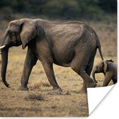 Affiche Enfant court après maman éléphant - 50x50 cm