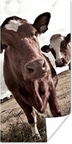 Poster Koeien op een veld sepia fotoprint - 80x160 cm