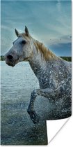 Poster Paard - Water - Druppel - 80x160 cm