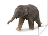 Poster Kleine olifant tegen witte achtergrond - 160x120 cm XXL
