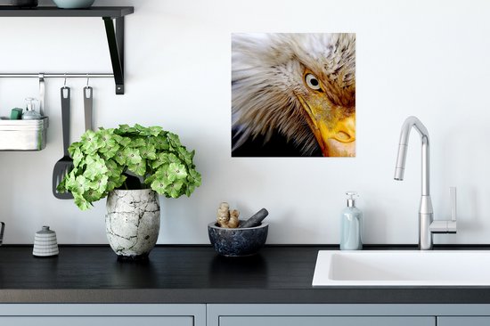 Affiche Vogel - Œil - Bec - 30x30 cm