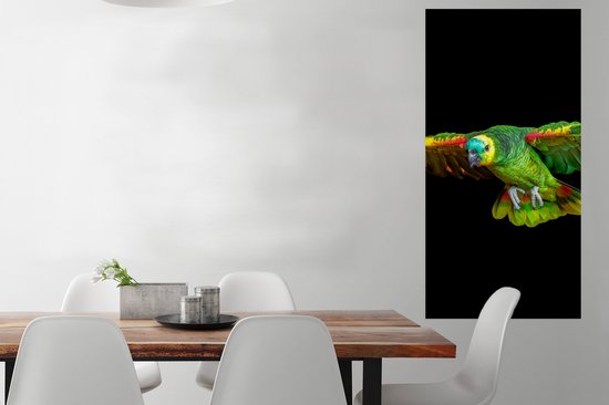 Affiche Perroquet - Vogel - Ressorts - 60x120 cm