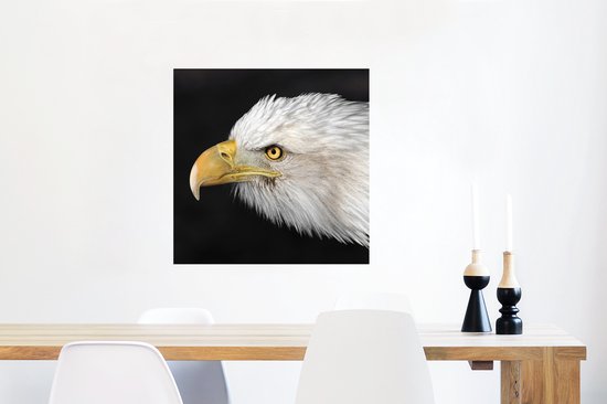 Poster Aigle - Vogel - Bec - Yeux - 50x50 cm