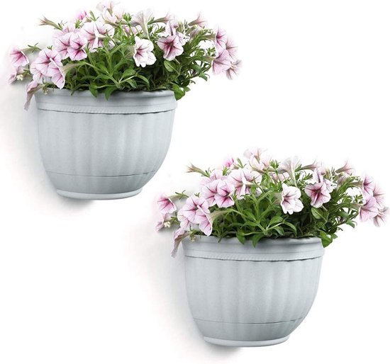 5 Dingen Die Je Vaak Fout Doet met je Vetplanten of Cactussen