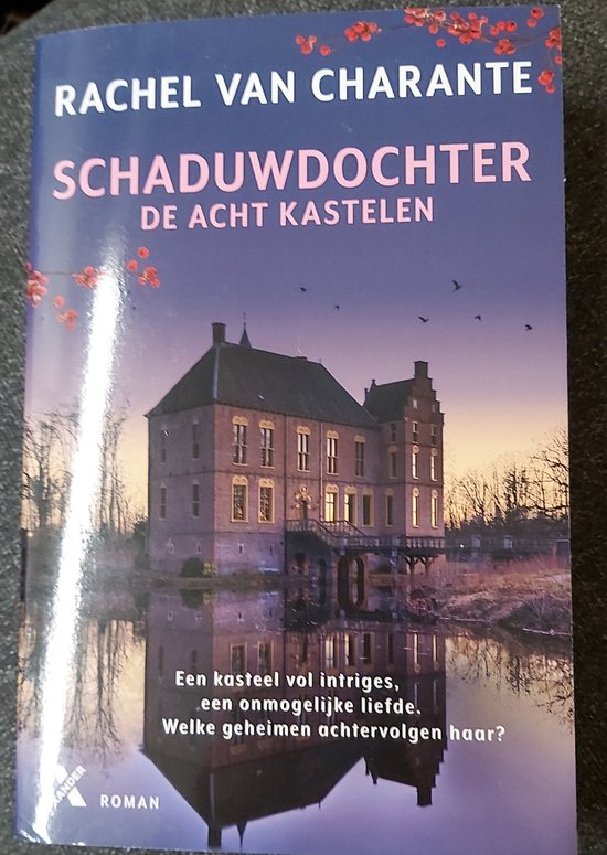 De acht kastelen 1 - Schaduwdochter - cover