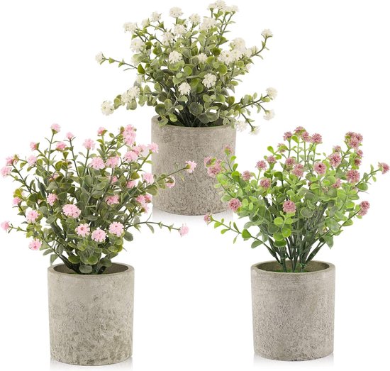 Kleine kunstplanten Bestellen | Kies Jouw Favorieten