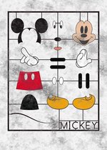 Fotobehang - Mickey Kit 200x280cm - Vliesbehang