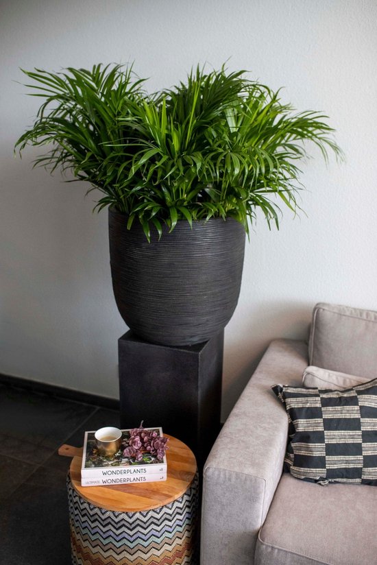 Capi Europe - Pot Boule Rib NL - 43x41 - Anthracite - Ouverture 43 - Pot intérieur et extérieur - KOFZ933