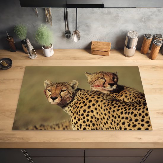 KitchenYeah® Inductie beschermer 81.6x52.7 cm - Twee cheeta's op de savanne - Kookplaataccessoires - Afdekplaat voor kookplaat - Inductiebeschermer - Inductiemat - Inductieplaat mat