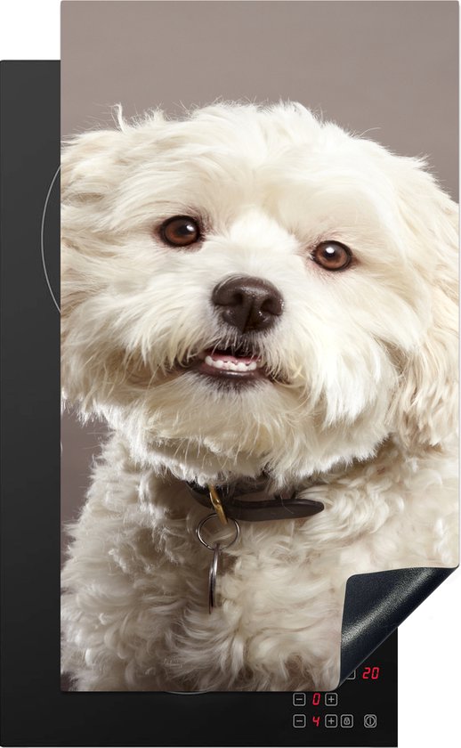 Een witte Maltezer hond op een inductiebeschermer, die op een inductiekookplaat is geplaatst.